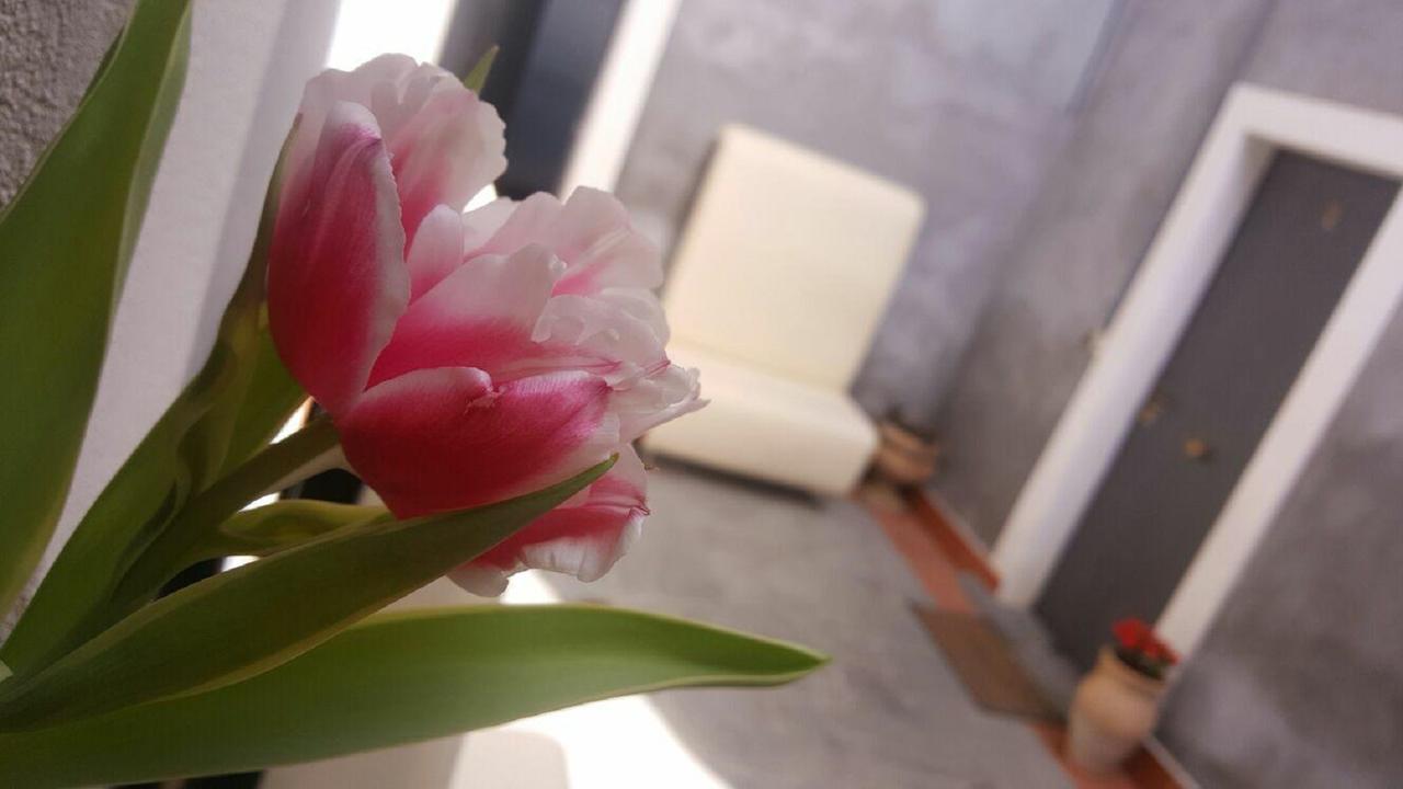 I Cappuccini Rooms Katanya Dış mekan fotoğraf